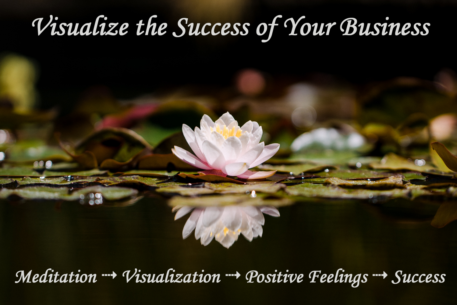 Visualize the Success of  Your Valuable Business